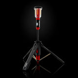 FLi-MORPHE