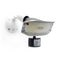 Outdoor Motion Flood Light